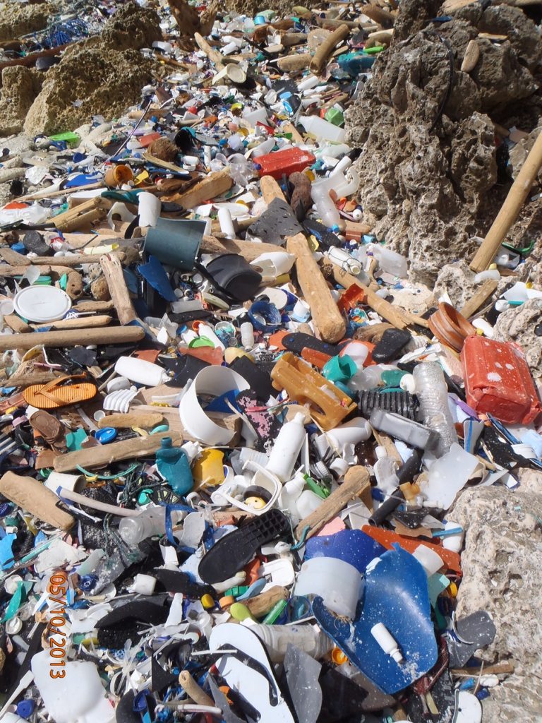 What Are Some Solutions To Marine Debris