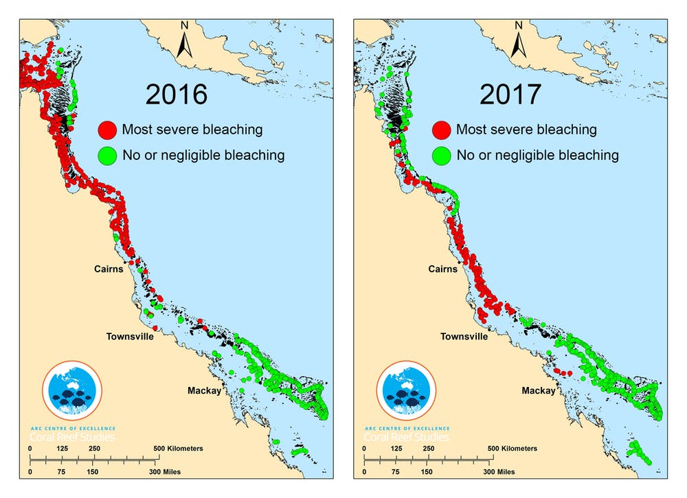 Coral bleaching map for 2016 and 2017.