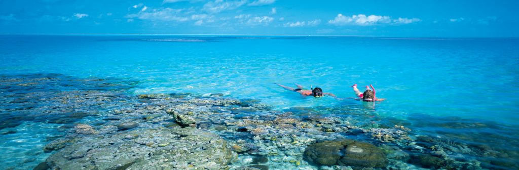 Snorkelling in The Waters of The Coral Cay