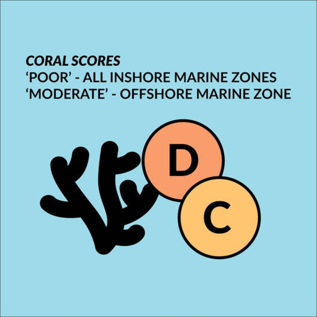 Coral scores logo.