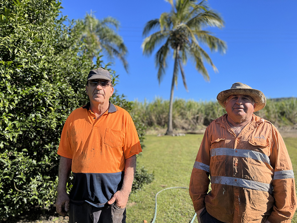 Anthony and Paul Portelli, cane growers part of the Smartcane BMP program.