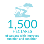 15,000 hectares of wetland with improved function and condition