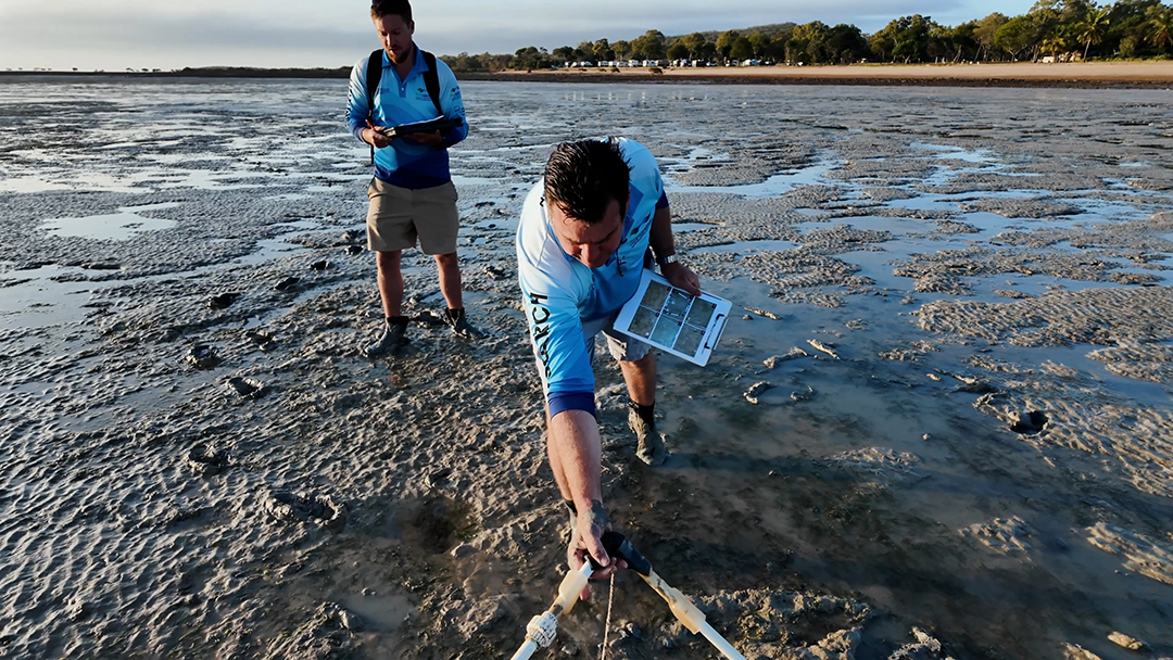 sip-jcu-transect A man throws out a transect onto a section of seagrass, while another person takes notes.