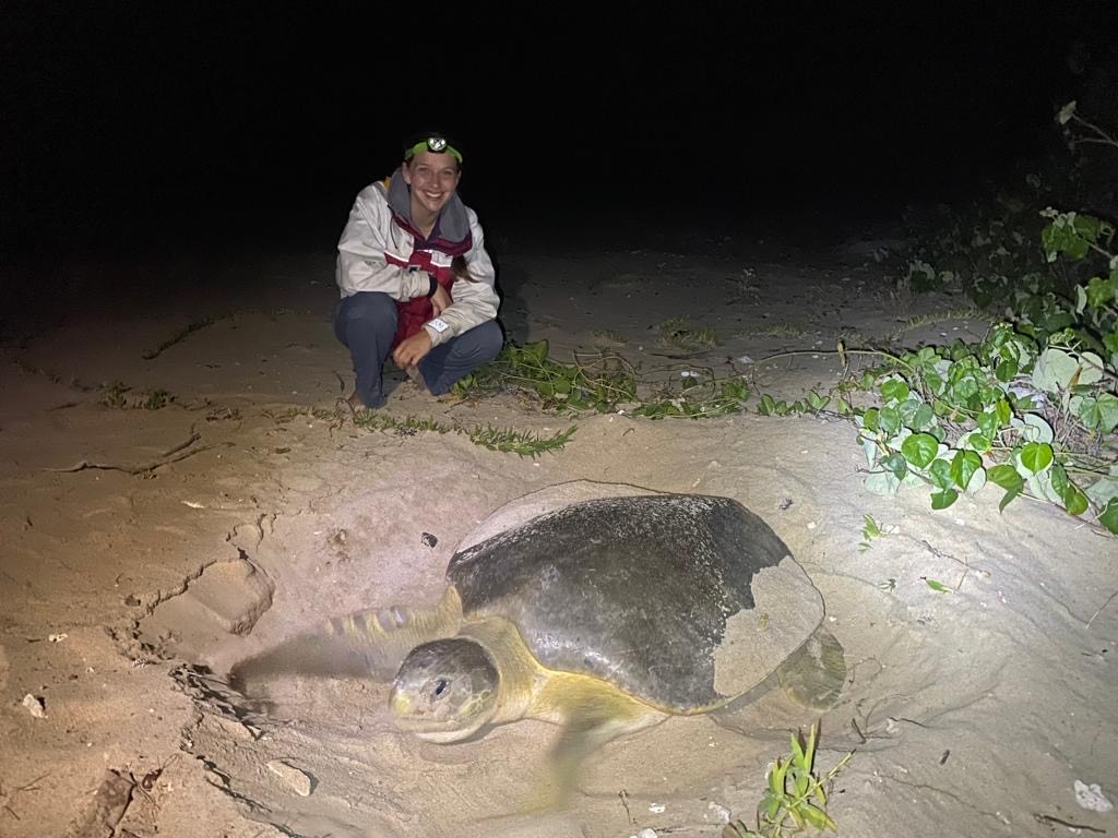 A young woman sits on a beach at night, with a green sea turtle in the foreground.