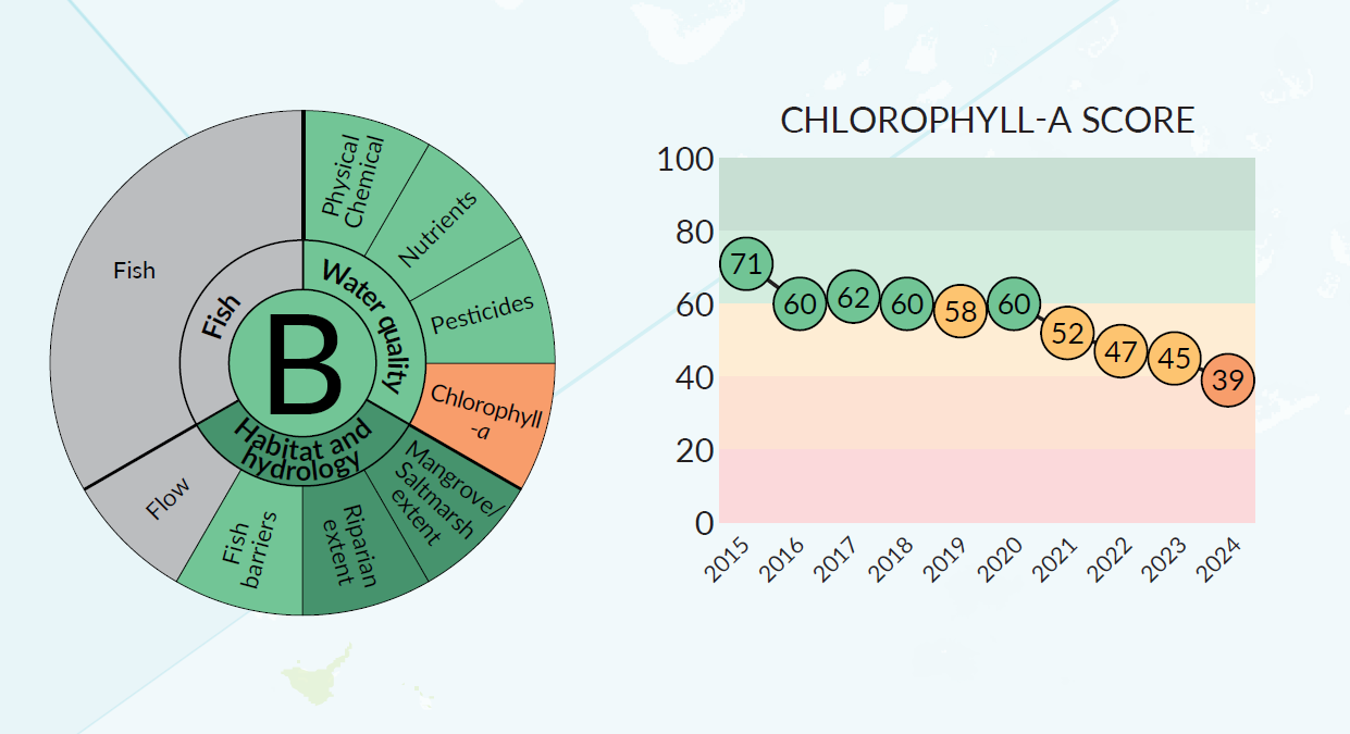 The 2025 Report Card grade for the Gregory River Estuary, and a graph showing a downtrend in Chlorophyll-a score.