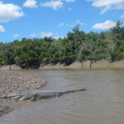 Proserpine Basin
