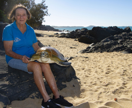 Three Decades of Turtle Monitoring