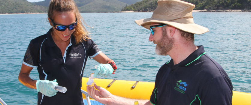 Tourism operators turn into citizen scientists to monitor reef water quality